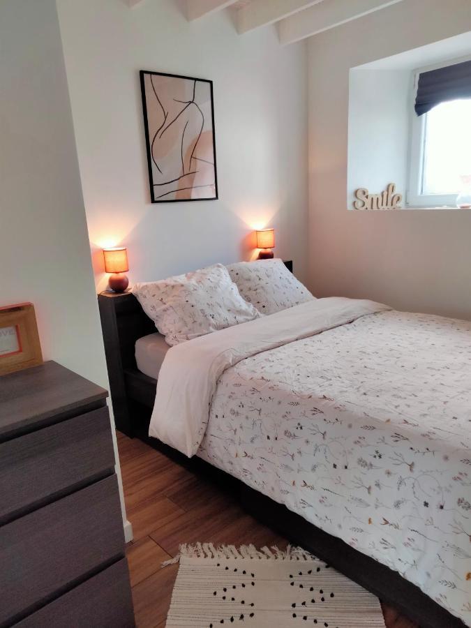 Gite 3 Chambres En Bord De Rance La Ville-ès-Nonais Buitenkant foto